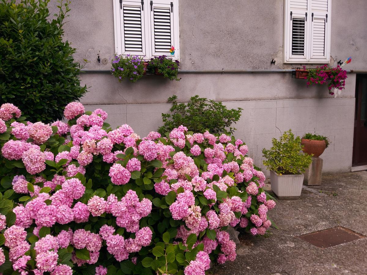 Villa A Casa Di Silvy à Trieste Extérieur photo